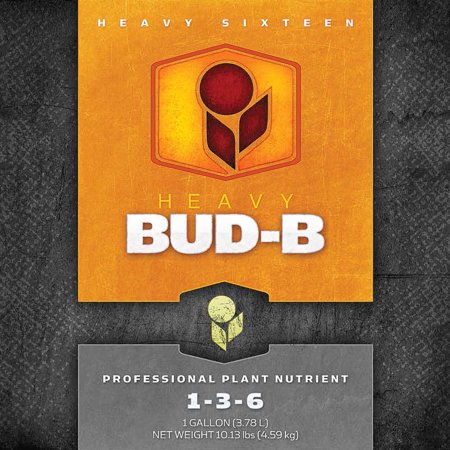 Heavy 16 Bud B