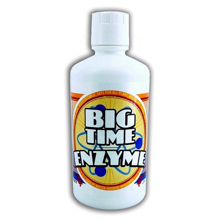 Big Time Enzyme Healthy Plant Growth Bio Protectant