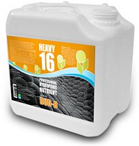 Heavy 16 Bud B 6 Gallon (23L)