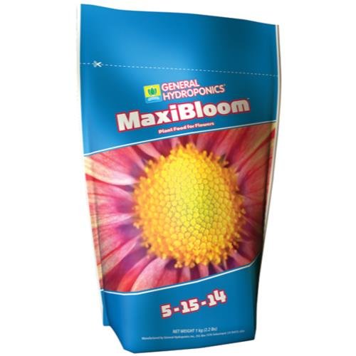 MAXI BLOOM 2.2 LB