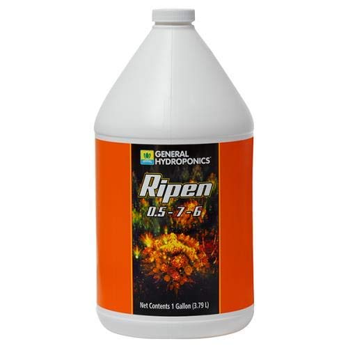 Gh Ripen 1 Gal