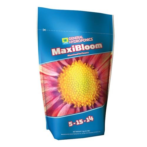 MAXI BLOOM 2.2 LB