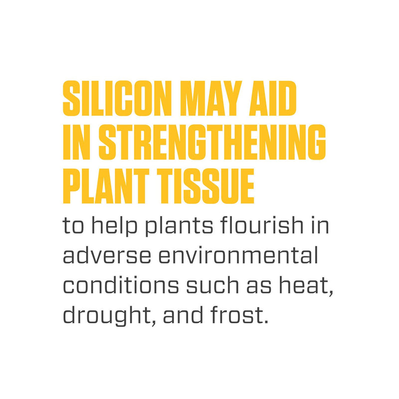 Botanicare Silica Blast - Liquid Supplement, For Use in Containers or Hydroponic Gardens, 5 gal.