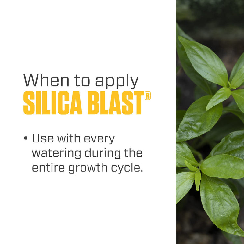 Botanicare Silica Blast - Liquid Supplement, For Use in Containers or Hydroponic Gardens, 5 gal.
