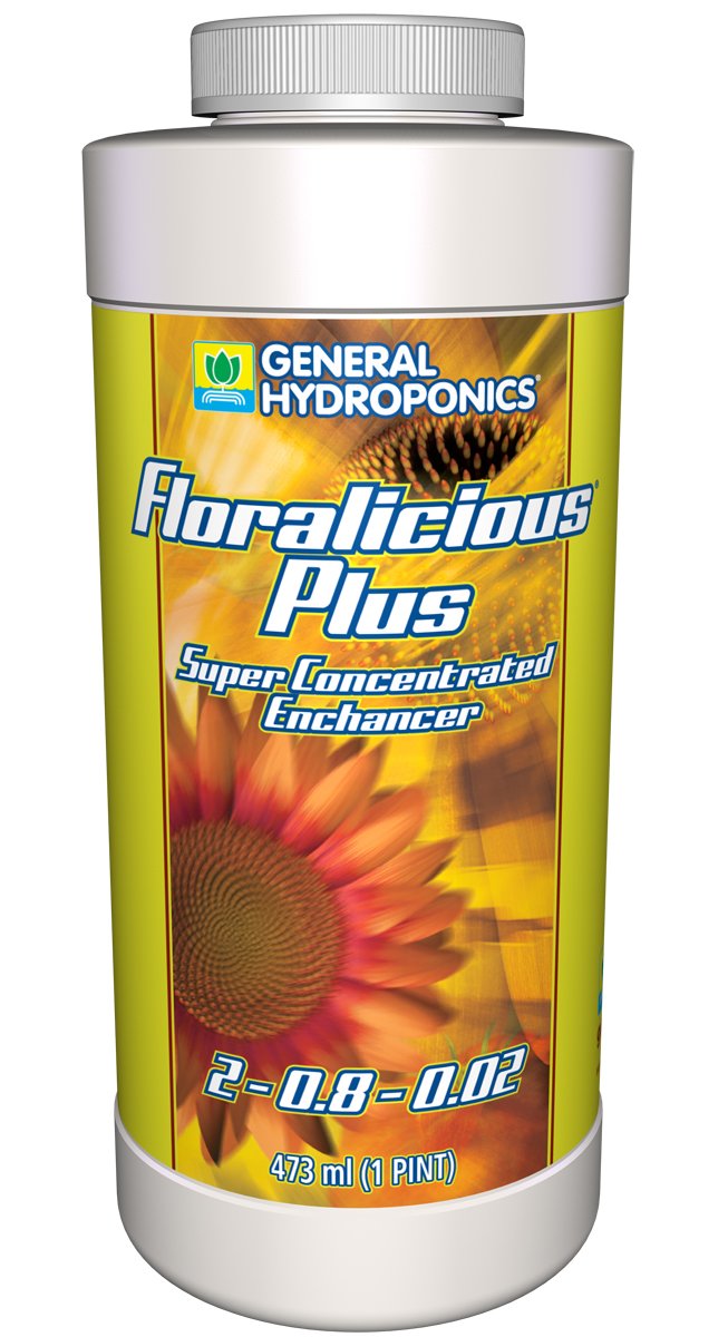 GH Floralicious Plus Pint (12/Cs)