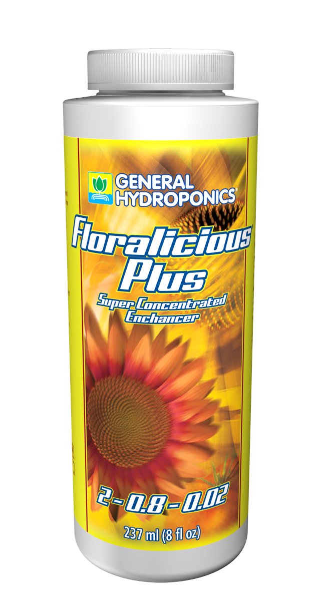 GH Floralicious Plus 8 oz (12/Cs)