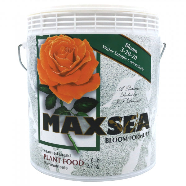 MAXSEA BLOOM 3-20-20